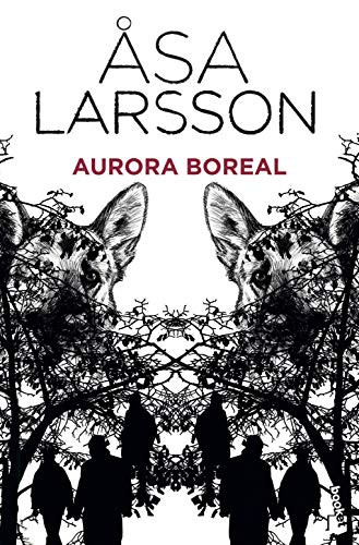 Aurora boreal